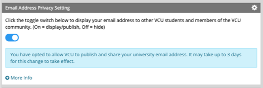 Email address privacy setting