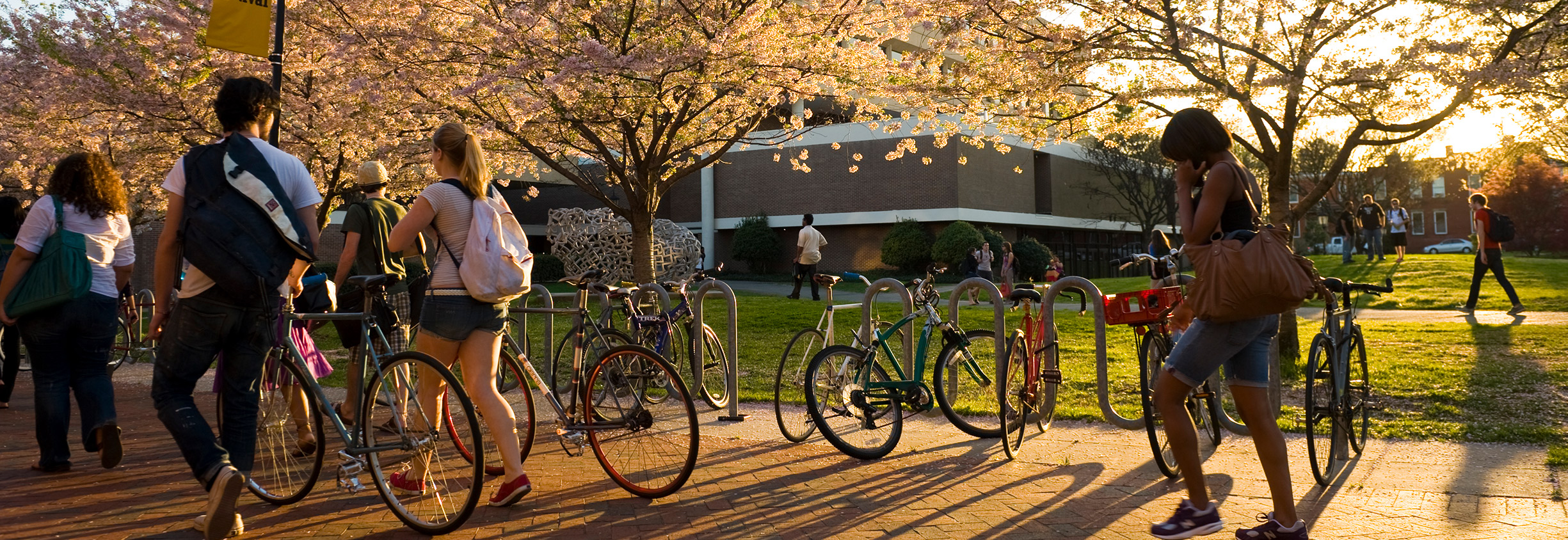 Image of students walking on a sunny day on campus